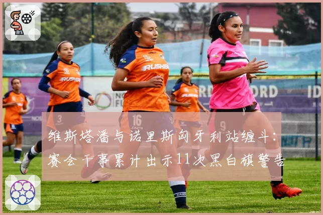 维斯塔潘与诺里斯匈牙利站缠斗：赛会干事累计出示11次黑白旗警告