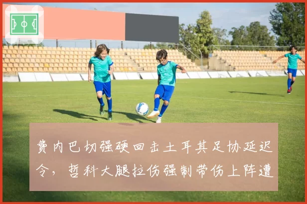 费内巴切强硬回击土耳其足协延迟令，哲科大腿拉伤强制带伤上阵遭欧足联介入调查