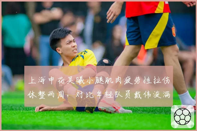 上海申花吴曦小腿肌肉疲劳性拉伤休整两周,对比年轻队员戴伟浚满勤凸显年龄瓶颈