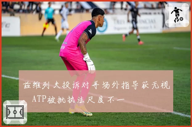 兹维列夫投诉对手场外指导获无视，ATP被批执法尺度不一