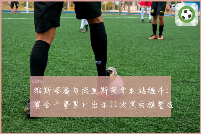 维斯塔潘与诺里斯匈牙利站缠斗：赛会干事累计出示11次黑白旗警告