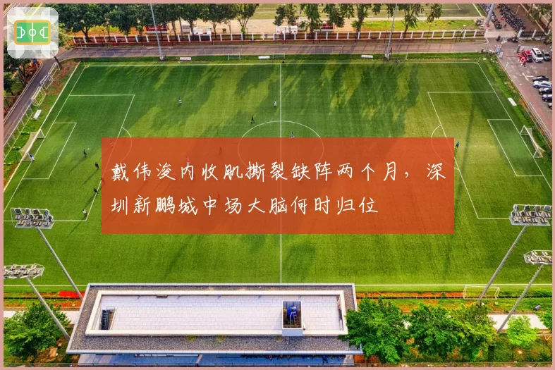 戴伟浚内收肌撕裂缺阵两个月，深圳新鹏城中场大脑何时归位