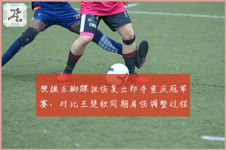 樊振东脚踝扭伤复出即夺重庆冠军赛，对比王楚钦同期肩伤调整过程效率不同
