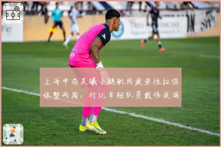 上海申花吴曦小腿肌肉疲劳性拉伤休整两周,对比年轻队员戴伟浚满勤凸显年龄瓶颈