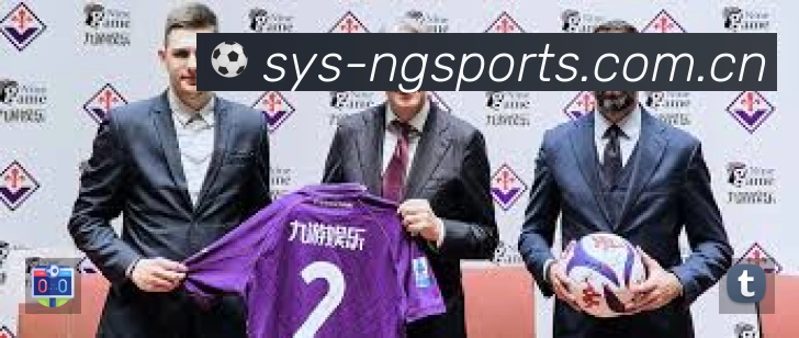 NG体育赛事入口体系与导航结构